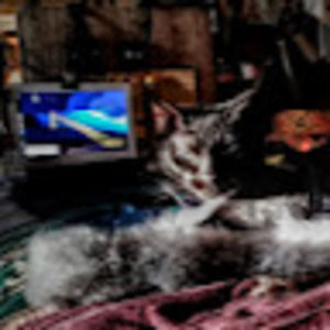 Meet your Posher, Greg